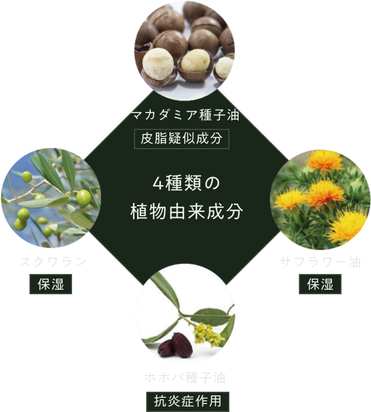 細分図五角形